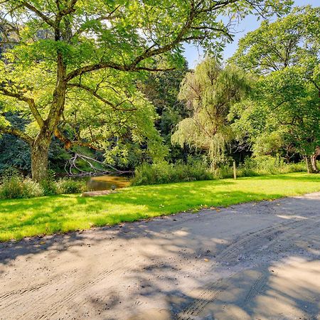 Riverfront Idyllic Lansing Home With Porch! Ngoại thất bức ảnh